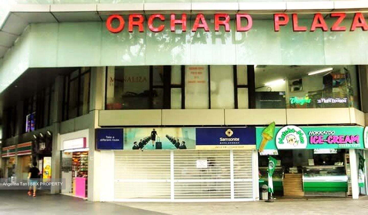 Orchard Plaza (D9), Retail #466978621